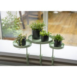 Essschert design essschert design växtblad med klämma runt m grönt