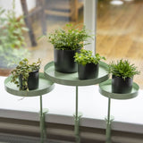 Essschert design essschert design växtblad med klämma runt l green