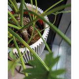 Capi Pflanzer Groove 35x34 cm Elfenbeinfarbe