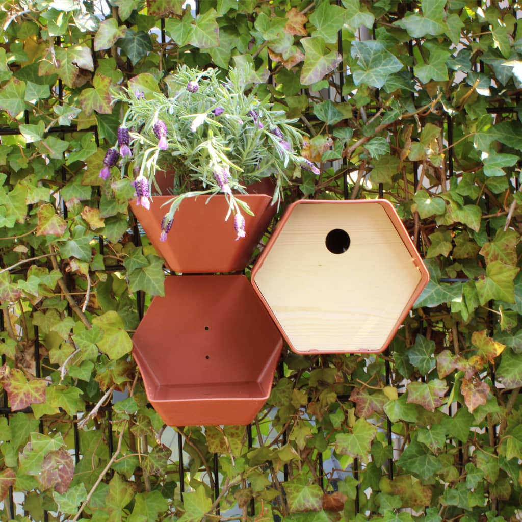 Capi Birdhouse Hive 1 kulatá díra 19x23x20 cm hnědá