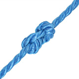 Vidaxl rope twisted 10 mm 100 m polypropylene blue