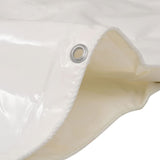 Vidaxl Device 650 g m² 2x3 m white