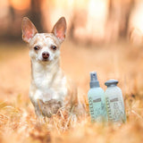 Gréngfields Gréngfields Hond Fleeg Set Shampoo a Spray 2 x 250 ml