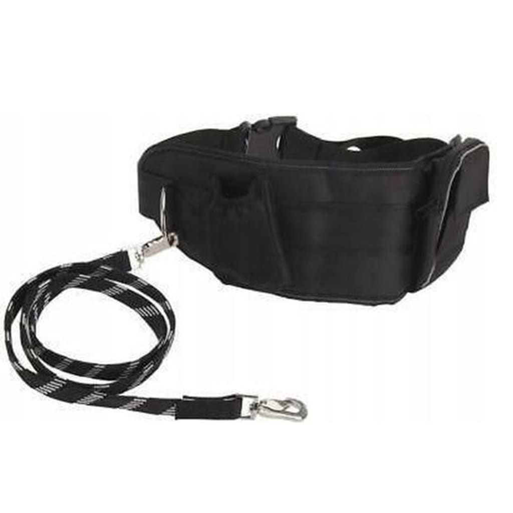 Pets Collection Pets Collection Dog line with hip band Groot Black
