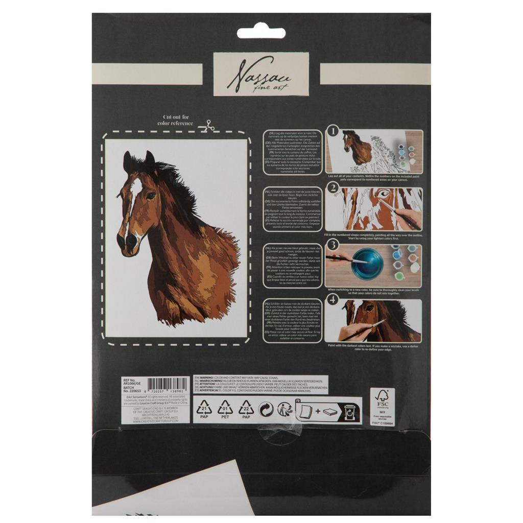Nassau peinture par numéro de cheval