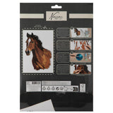 Nassau peinture par numéro de cheval