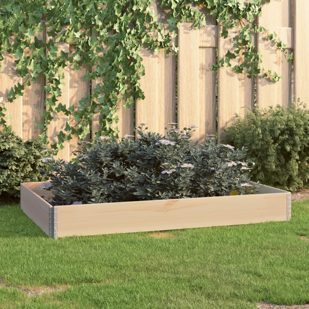 Vidaxl Planter zvedl pevnou borovici 100x150 cm