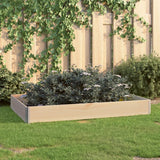 Vidaxl Planter zvedl pevnou borovici 100x150 cm