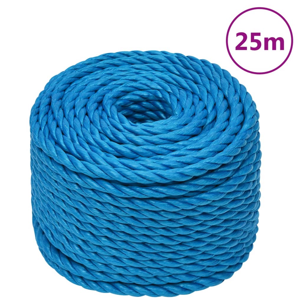 Vidaxl werkouw 2 m mm 25 m Polroprope blo