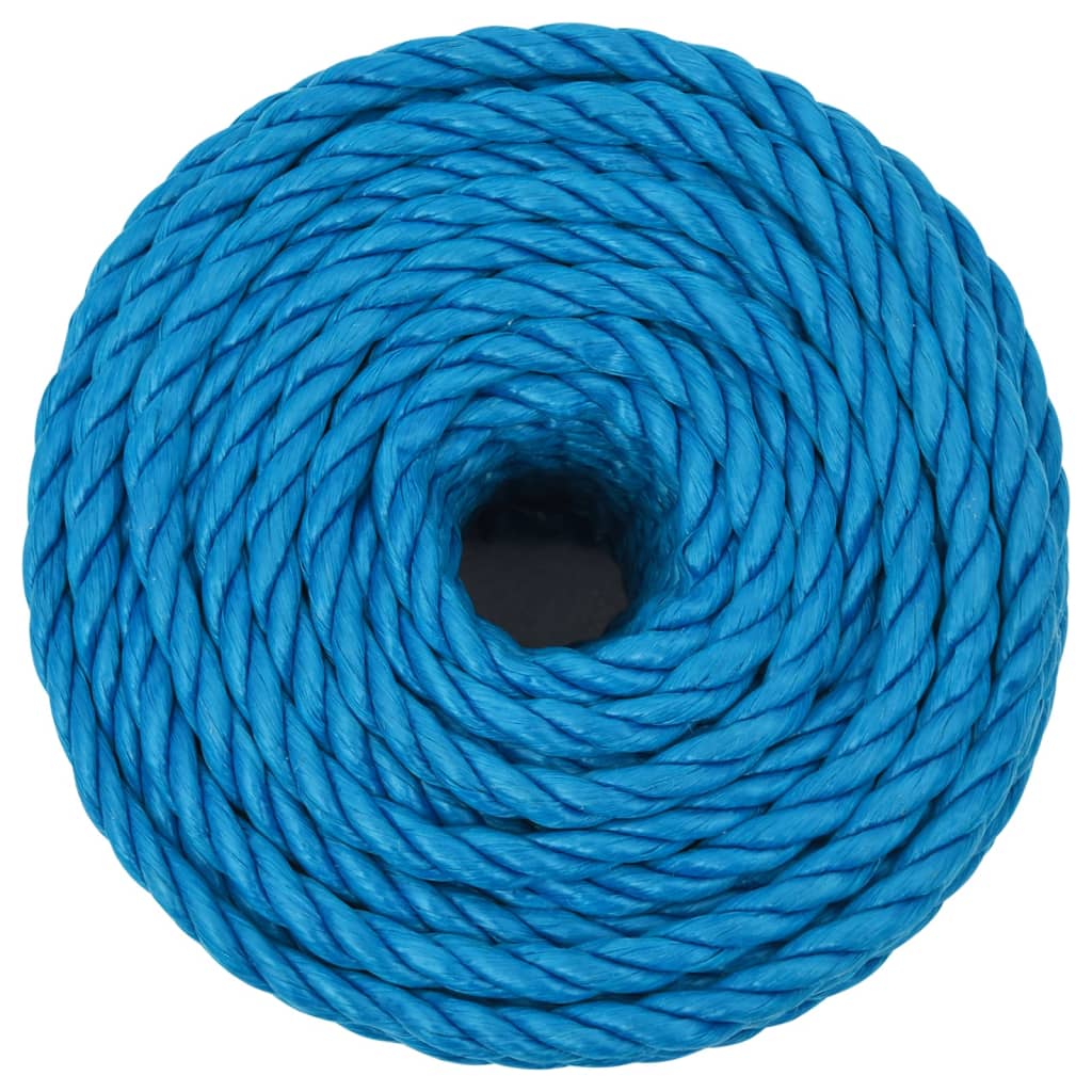 Vidaxl werkouw 2 m mm 25 m Polroprope blo