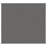 VIDAXL FAIBLAGE COUVERTURE 200X230 cm 13 kg de gris de tissu