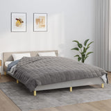 VIDAXL FAIBLAGE COUVERTURE 200X230 cm 13 kg de gris de tissu