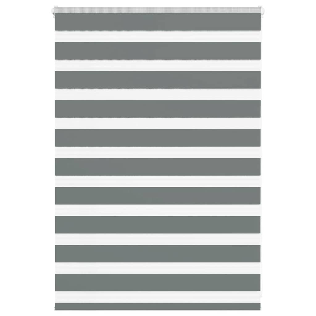 Vidaxl Zebra Roller Blind 100x100 cm støvbredde 95,9 cm mørk grå