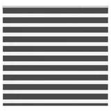 Vidaxl Zebra roller blind 155x150 cm dust width 150.9 cm black