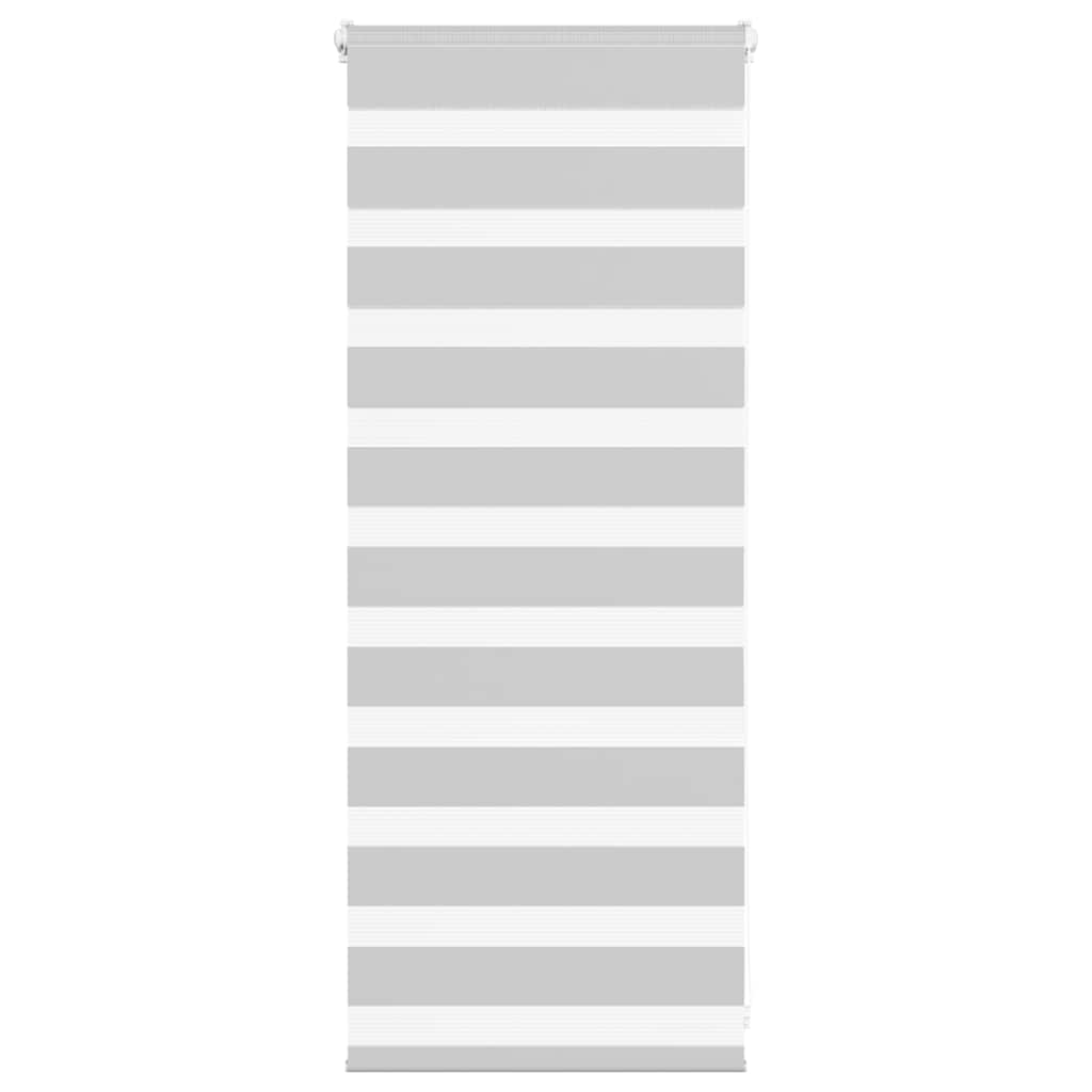 Vidaxl Zebra roller blind 55x100 cm fabric width 50.9 cm light gray