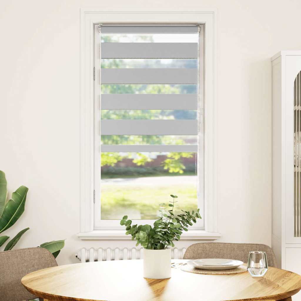 Vidaxl Zebra roller blind 55x100 cm fabric width 50.9 cm light gray