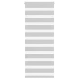 Vidaxl Zebra roller blind 60x100 cm dust width 55.9 cm light gray