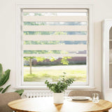 Vidaxl Zebra roller blind 100x100 cm dust width 95.9 cm Marmerbeige