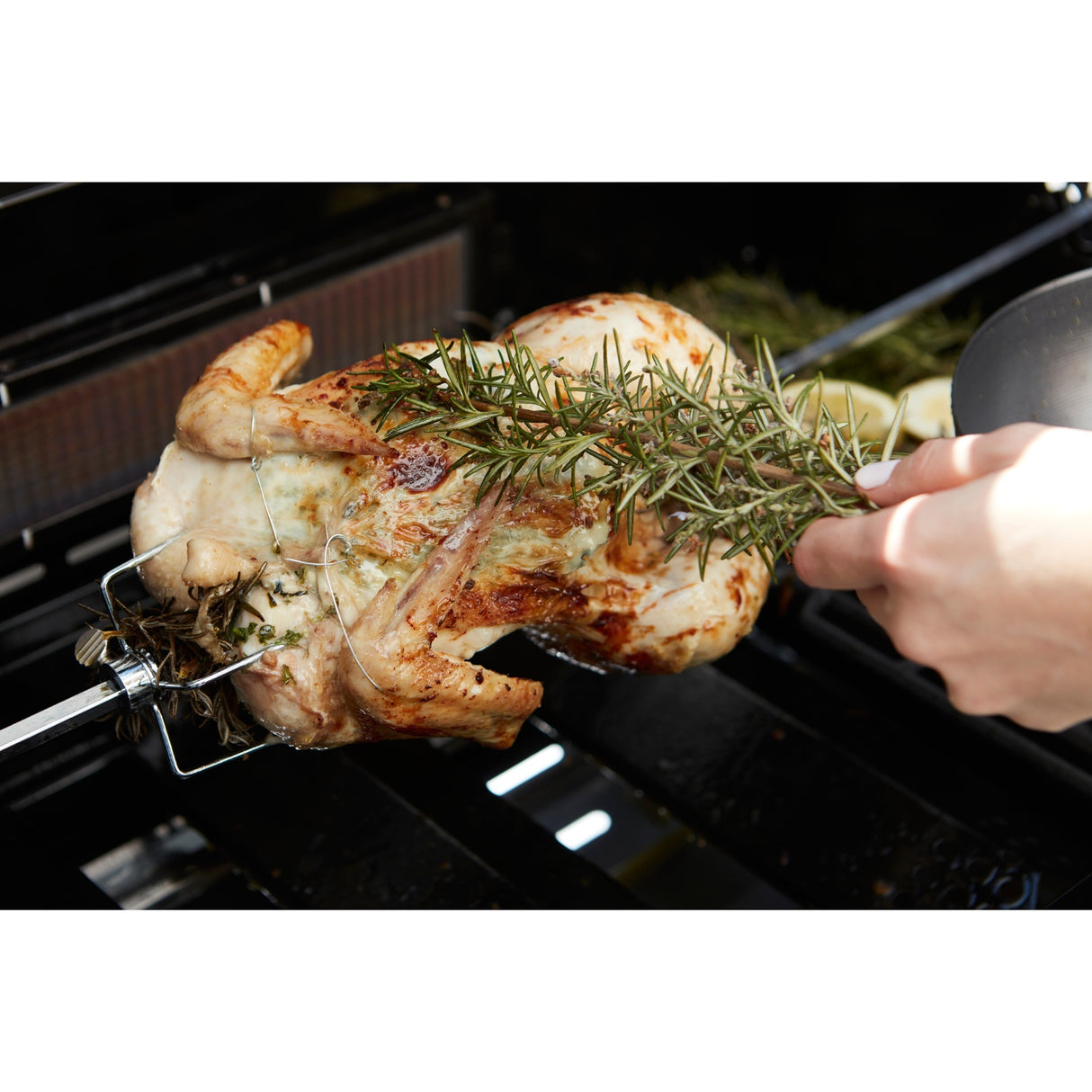 Barbecook Universal Turning Spit con motore per Magnus e Sies