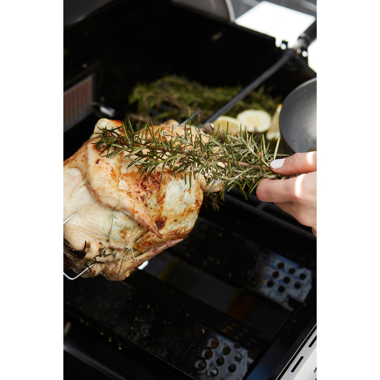 BarboCook Universal Turning Spit avec moteur pour le barbe au charbon de bois