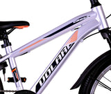 Volare Cross Children's Bicycle - Jungen - 20 Zoll - Silber - 6 Zahnräder
