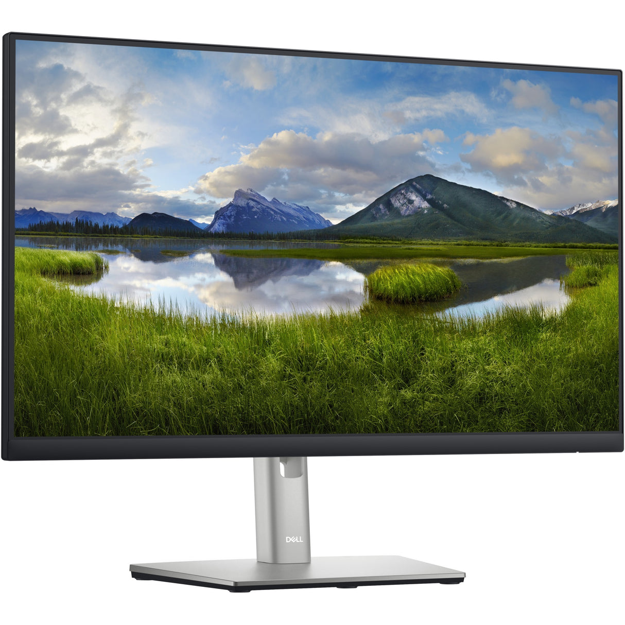 Dell p2422