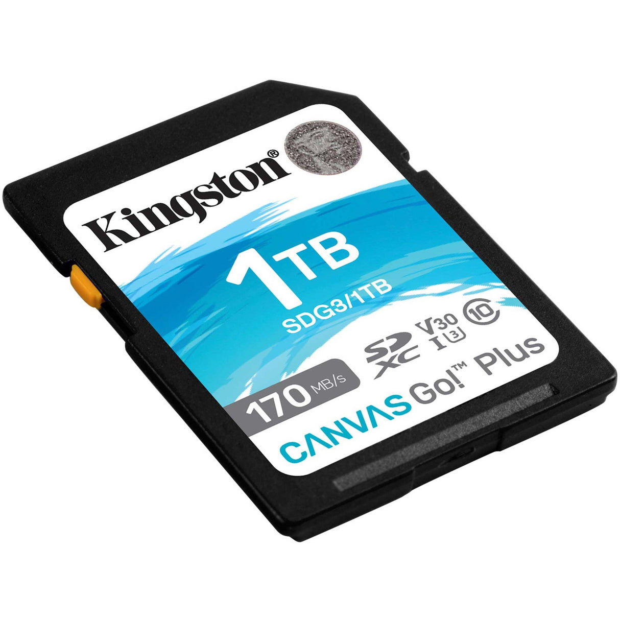 Kingston Canvas Go! Plus SDXC 1 TB