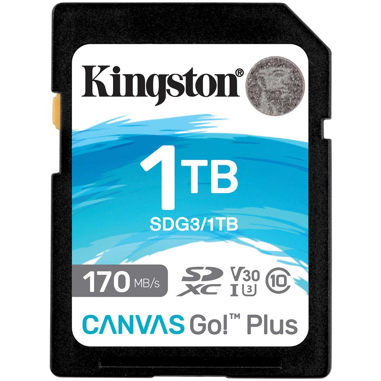 Kingston Canvas Go! Plus SDXC 1 TB