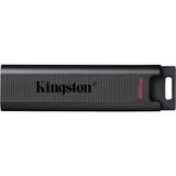 Kingston DataTraveler Max 256 GB