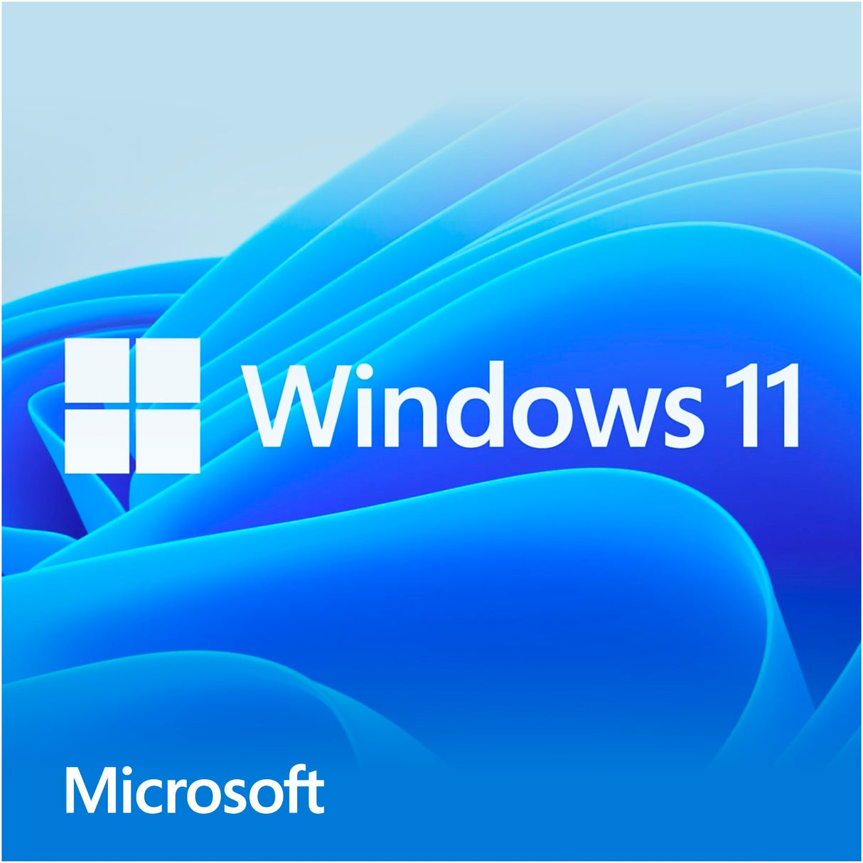 Microsoft Windows 11 Home (nizozemski) SystemBuilder