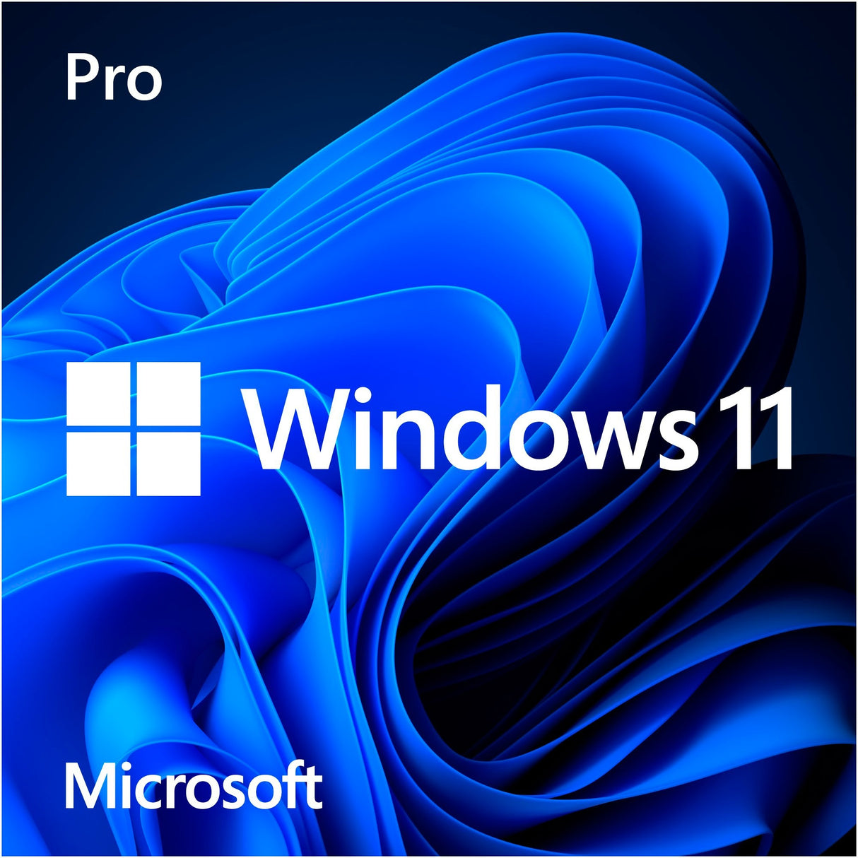 Microsoft Windows 11 (nizozemski) SystemBuilder