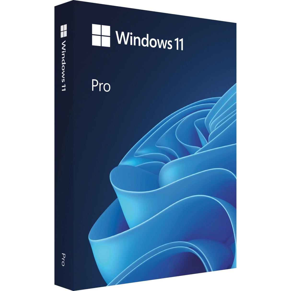 Microsoft Windows 11 Professional (Dutch)