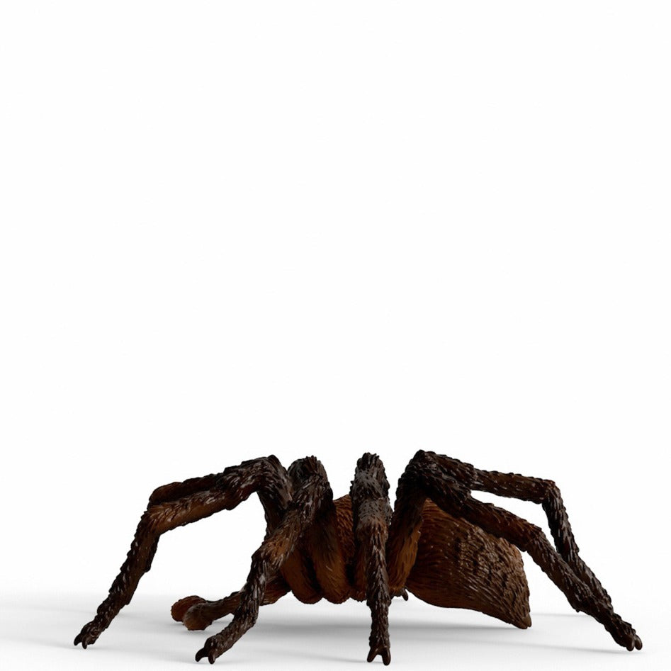 Schlich Harry Potter Aragog