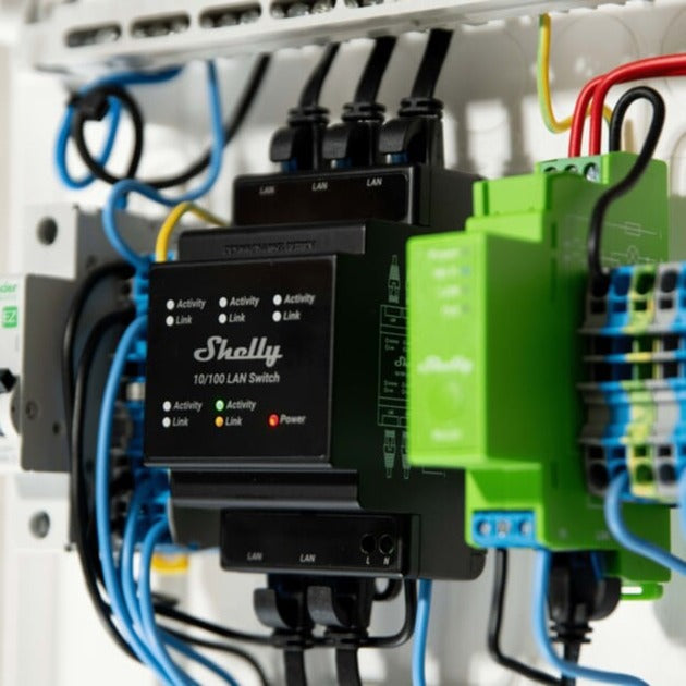 Shelly Lan Switch