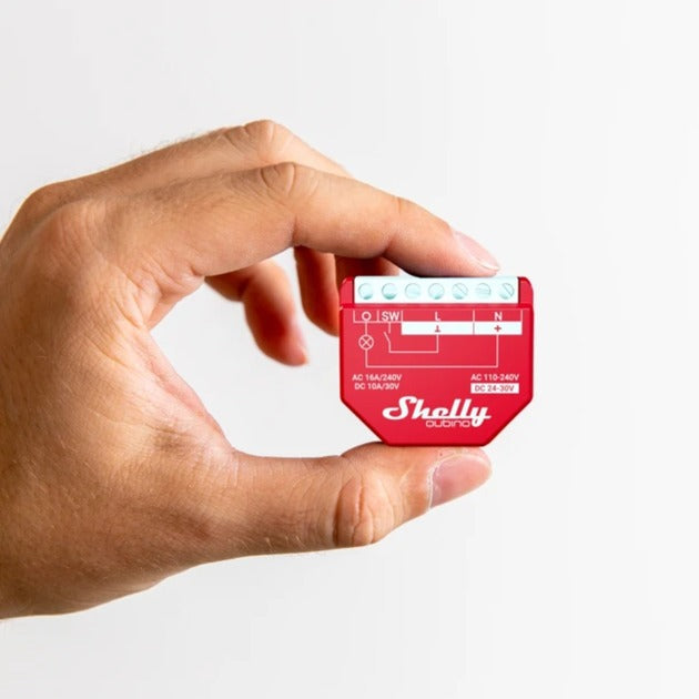 Shelly Qubino Welle 13 Uhr