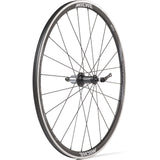 Miche wepielet syntium wp Axy Shimano 11v (Drot)