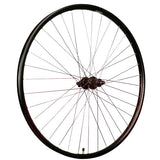 Roland zadnje kolo 28 Ryde Rival26 FHQC400