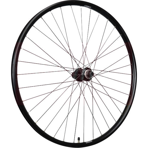 Roland zadnje kolo 28 Ryde Rival26 FHTC500