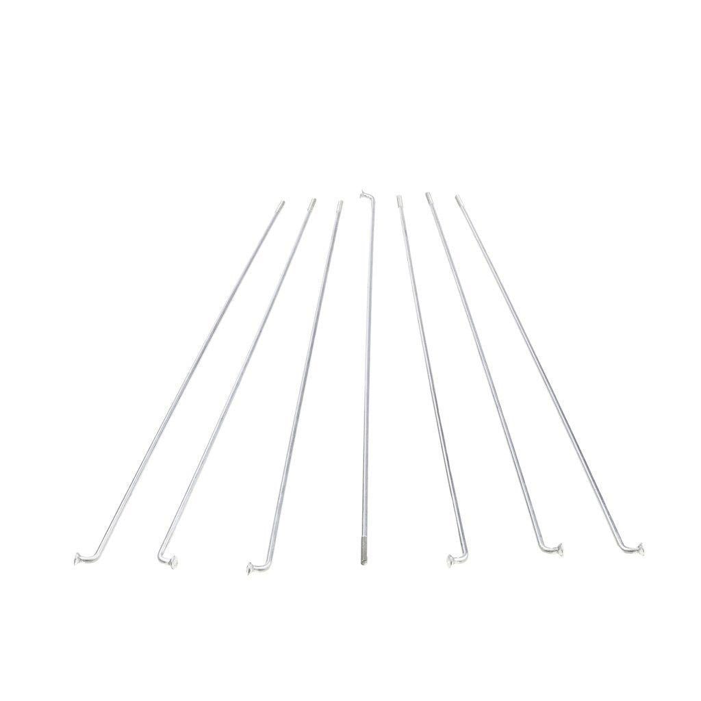 Alpina Spaak Zink 12-150 brez bradavice (144ST)