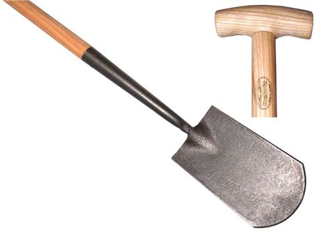 Bílý labutí krk rýč