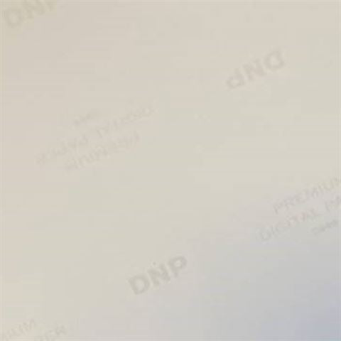 DNP Standard paper DSRX1HS-4X6 2 Roll � 700 St. 10x15 for DS-RX1HS