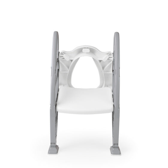 Dolu Educational toilet trainer with steps of toilet reducer Gray