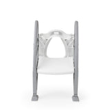 Dolu Educational toilet trainer with steps of toilet reducer Gray