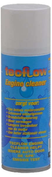 Tecflow più detergente per motori