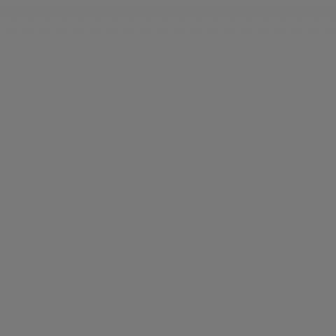Falcon Eyes Background cloth S010 2.9x7 m Gray