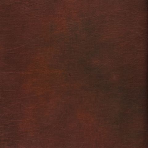 Falcon Eyes Background cloth S112 2.9x7 M
