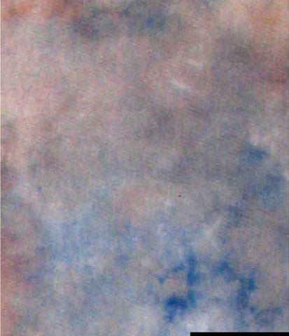 FALCON EYES FORGMENT TISSE S122 2,9X7 M