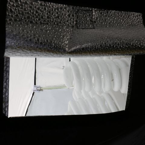 Linkstar Daylight Set LSD-7K1 7x28W