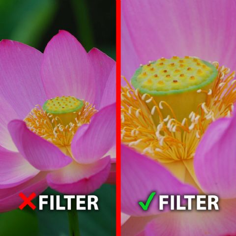MARUMI MACRO ACHRO 200 + 5 filter DHG 67 mm