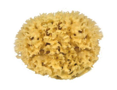 Croll Denecke Nature Sponge for kroppen
